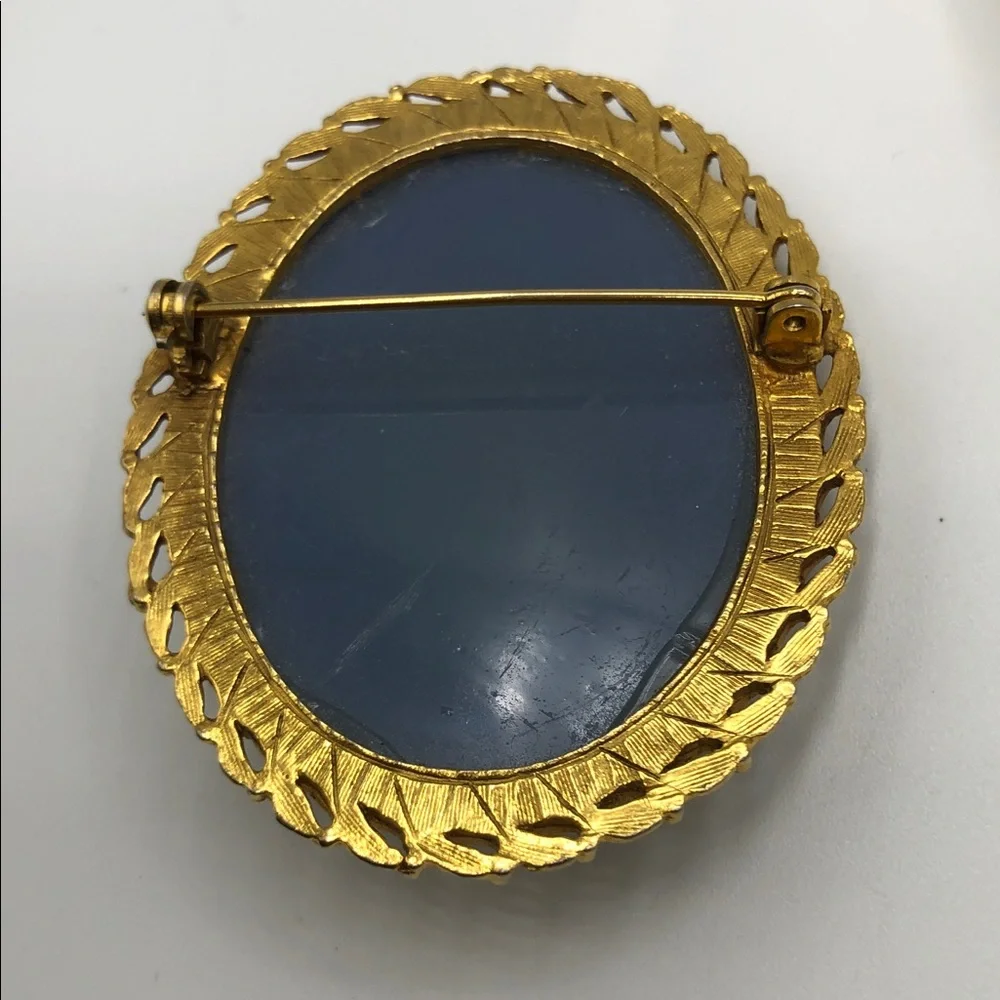 Vintage Classy Blue and Cream Cameo Brooch - Profile Woman